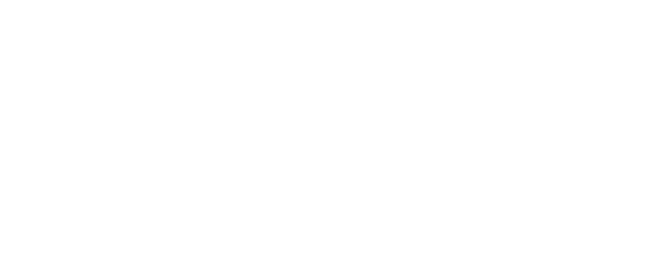 Vivo Concerti