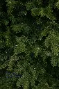 albero-di-natale-artificiale-gigante-spitsbergen-pe-pvc-1200-cm.webp