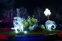 DSC02511.webp