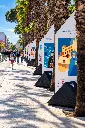Mostra di San Nicola sul lungomare (1).webp