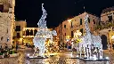 Elefanti luminosi nella piazza storica.webp