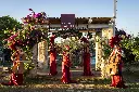 DSC07910.webp