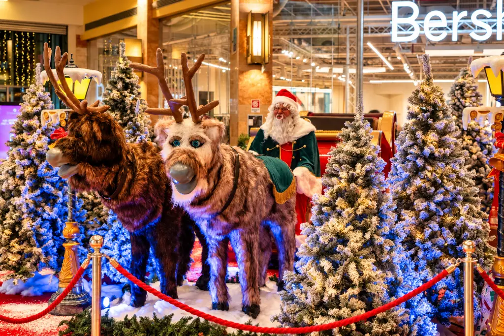 Allestimento natalizio con renne e Babbo Natale.webp