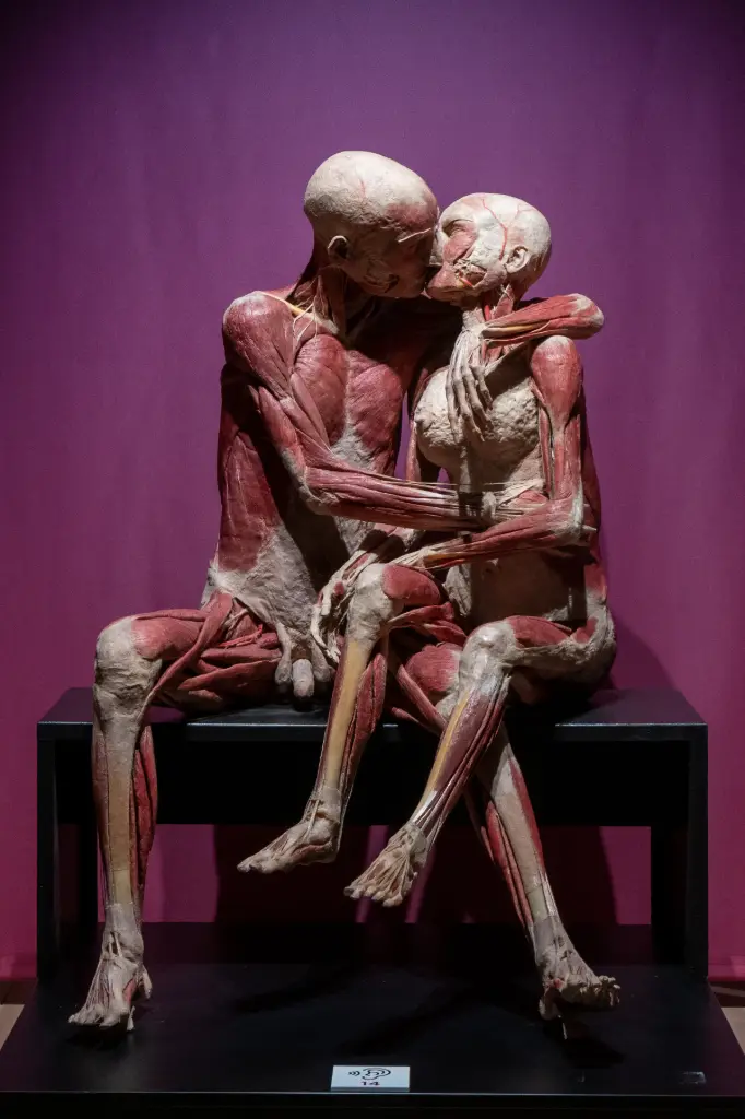 Real Bodies - Bari 2022