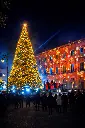 Natale a Mola di Bari - 2025
