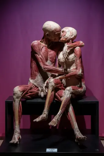 [-0-0-0] Real Bodies - Bari 2022
